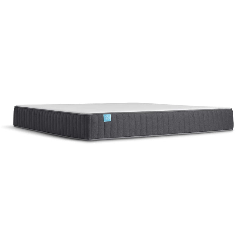The Blu Dot Foam Mattress