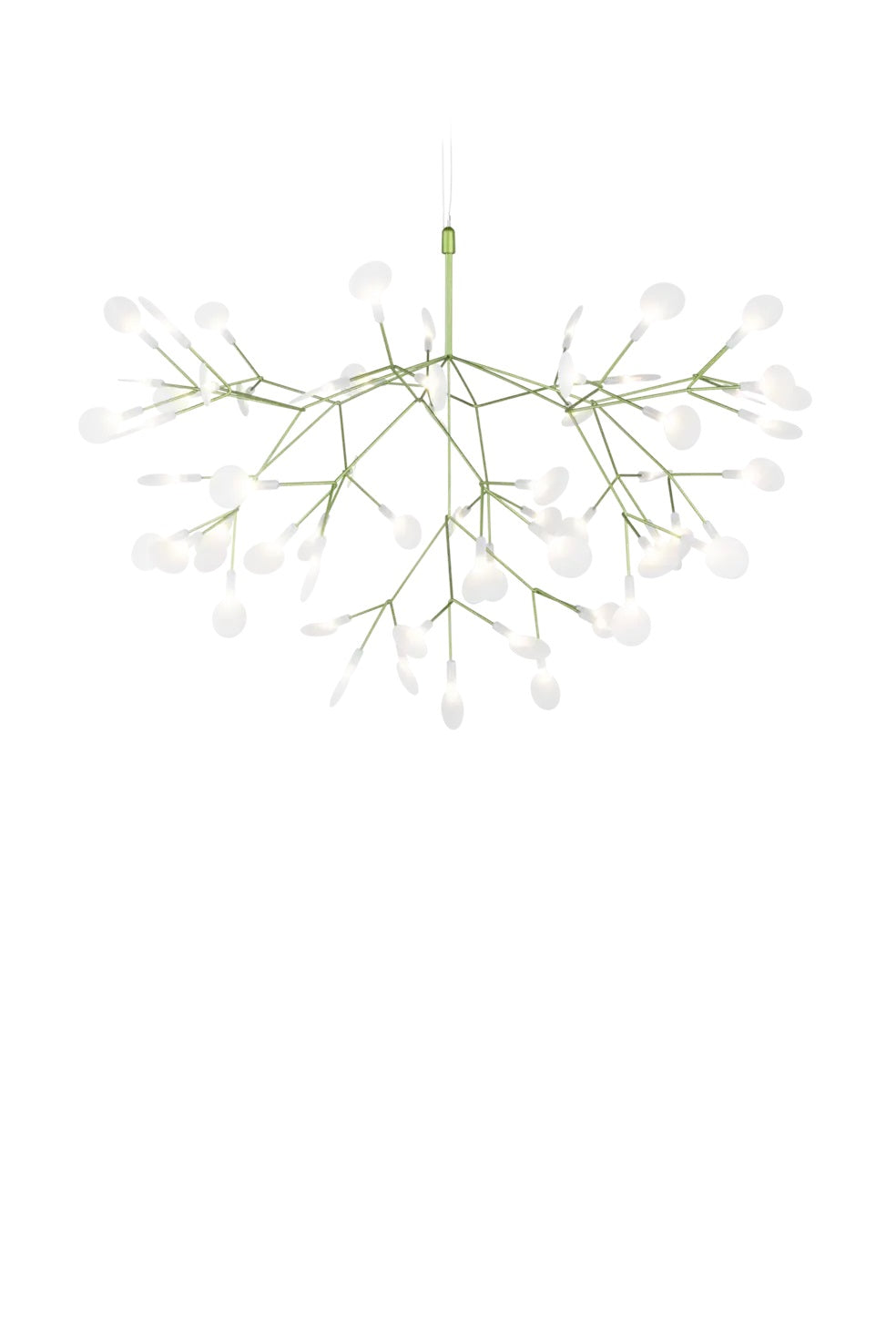 Heracleum Suspension Light