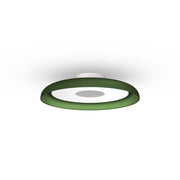 Nivél Flush Wall/Ceiling Light hanging lamps Pablo Small Forest Green 