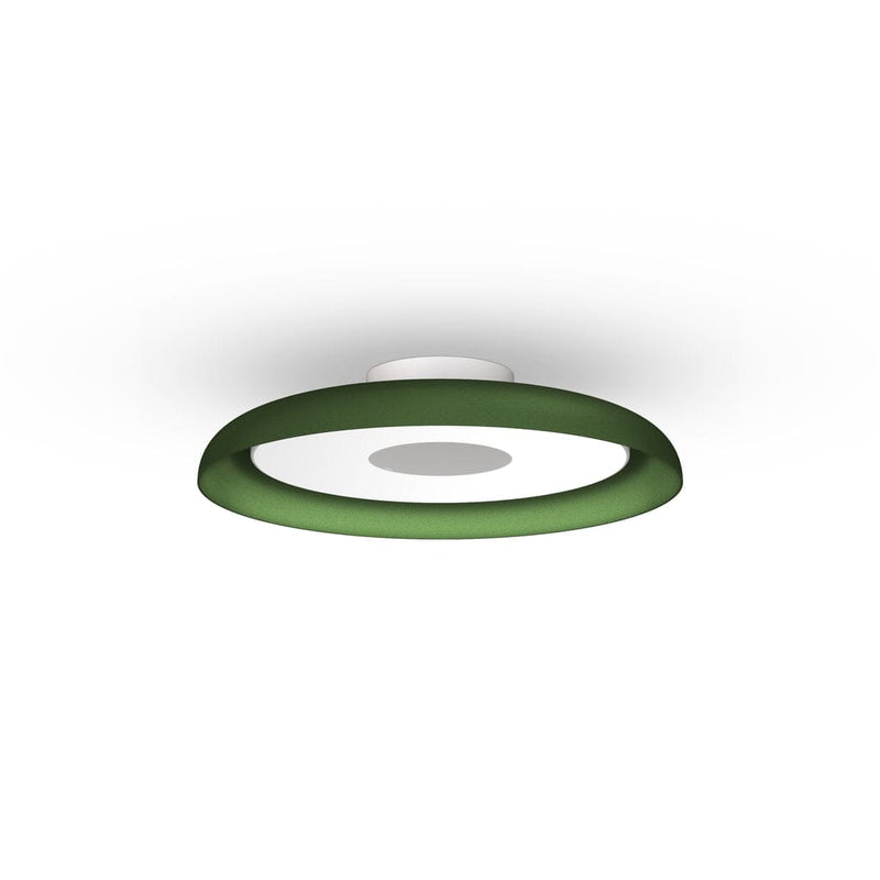 Nivél Flush Wall/Ceiling Light hanging lamps Pablo Small Forest Green 