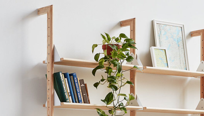 Branch Upright Accessories Gus Modern 