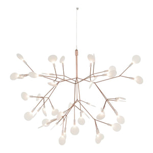 Heracleum Suspension Light