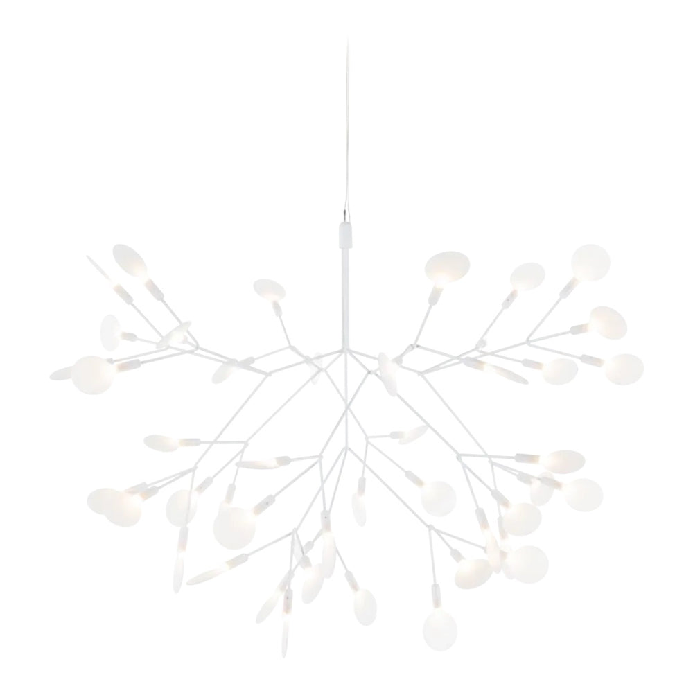 Heracleum Suspension Light