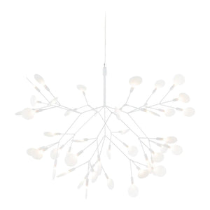 Heracleum Suspension Light