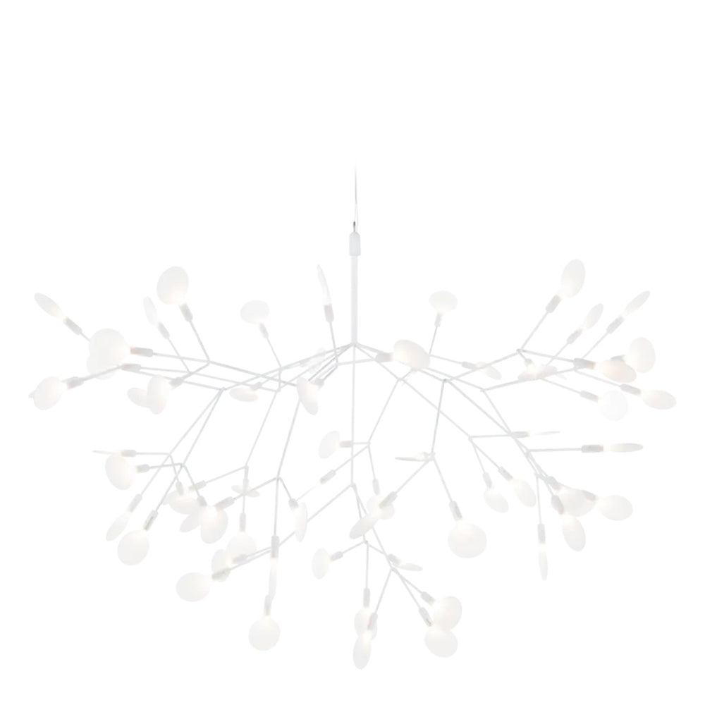 Heracleum Suspension Light