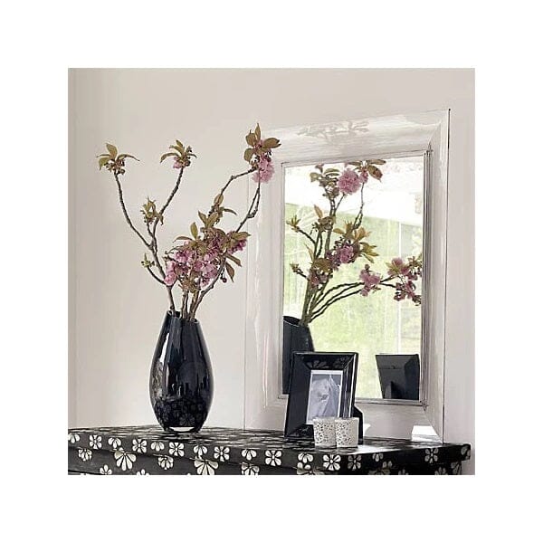 Francois Ghost Mirror mirror Kartell 