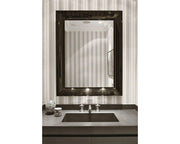 Francois Ghost Mirror mirror Kartell 