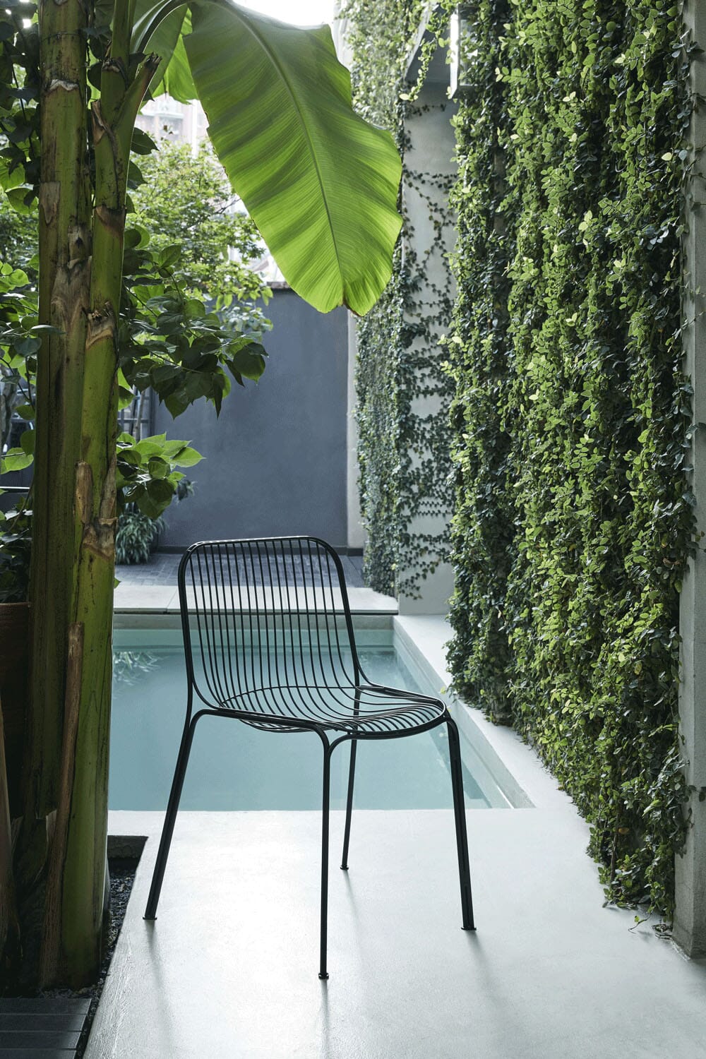 Hiray Dining Chair Dining Chair Kartell 