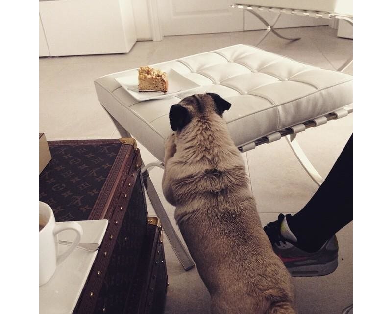 Barcelona Stool stool Knoll 