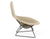 Bertoia Bird Chair