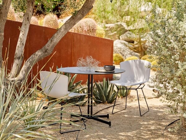 Bertoia Molded Shell Side Chair Side/Dining Knoll 