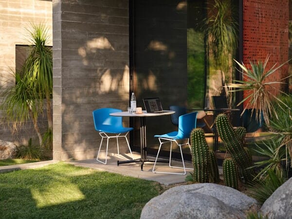 Bertoia Molded Shell Side Chair Side/Dining Knoll 