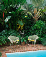 Bertoia Small Diamond Chair with Seat Pad lounge chair Knoll 