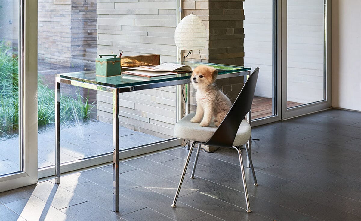 Saarinen Executive Plastic Back Chair With Tubular Legs Side/Dining Knoll 