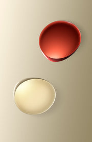 Lake Led Wall Lamp wall / ceiling lamps Foscarini 
