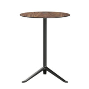 Little Friend Table End Tables Fritz Hansen 