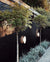 AJ Eklipta Wall/Ceiling Light wall / ceiling lamps Louis Poulsen 