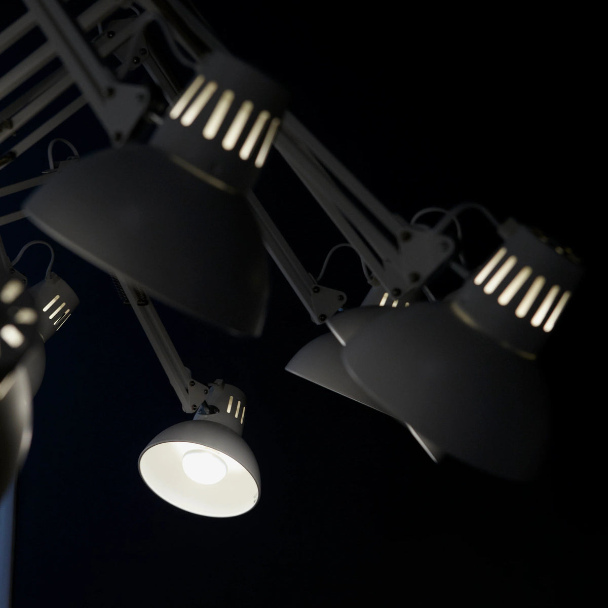 Dear Ingo Hanging Lamp