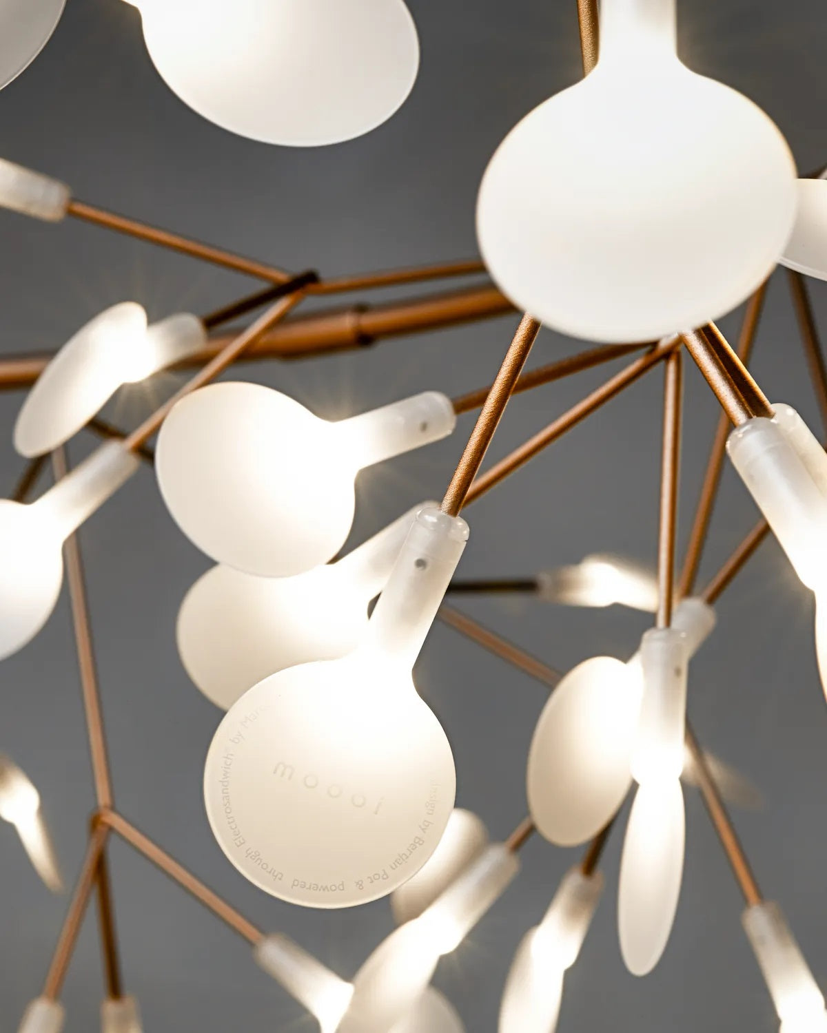 Heracleum III The Big O Suspension Lamp