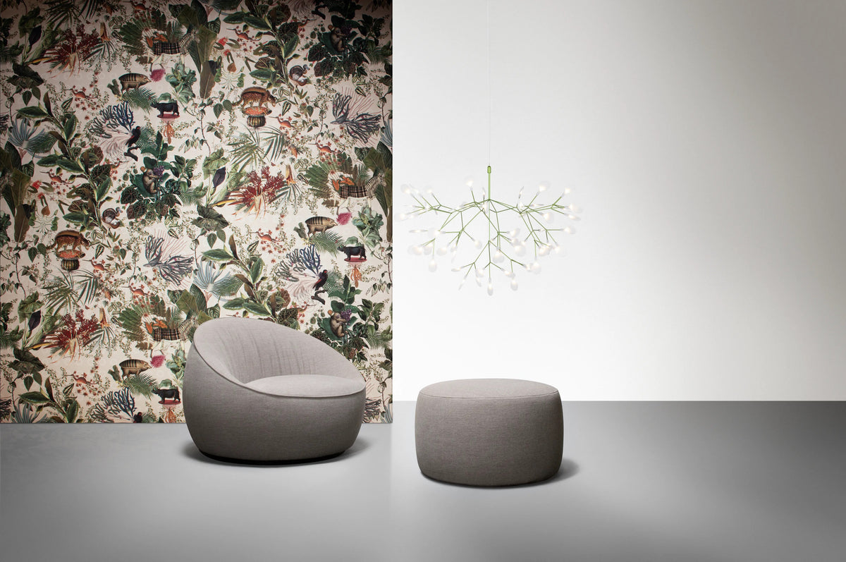 Heracleum Suspension Light