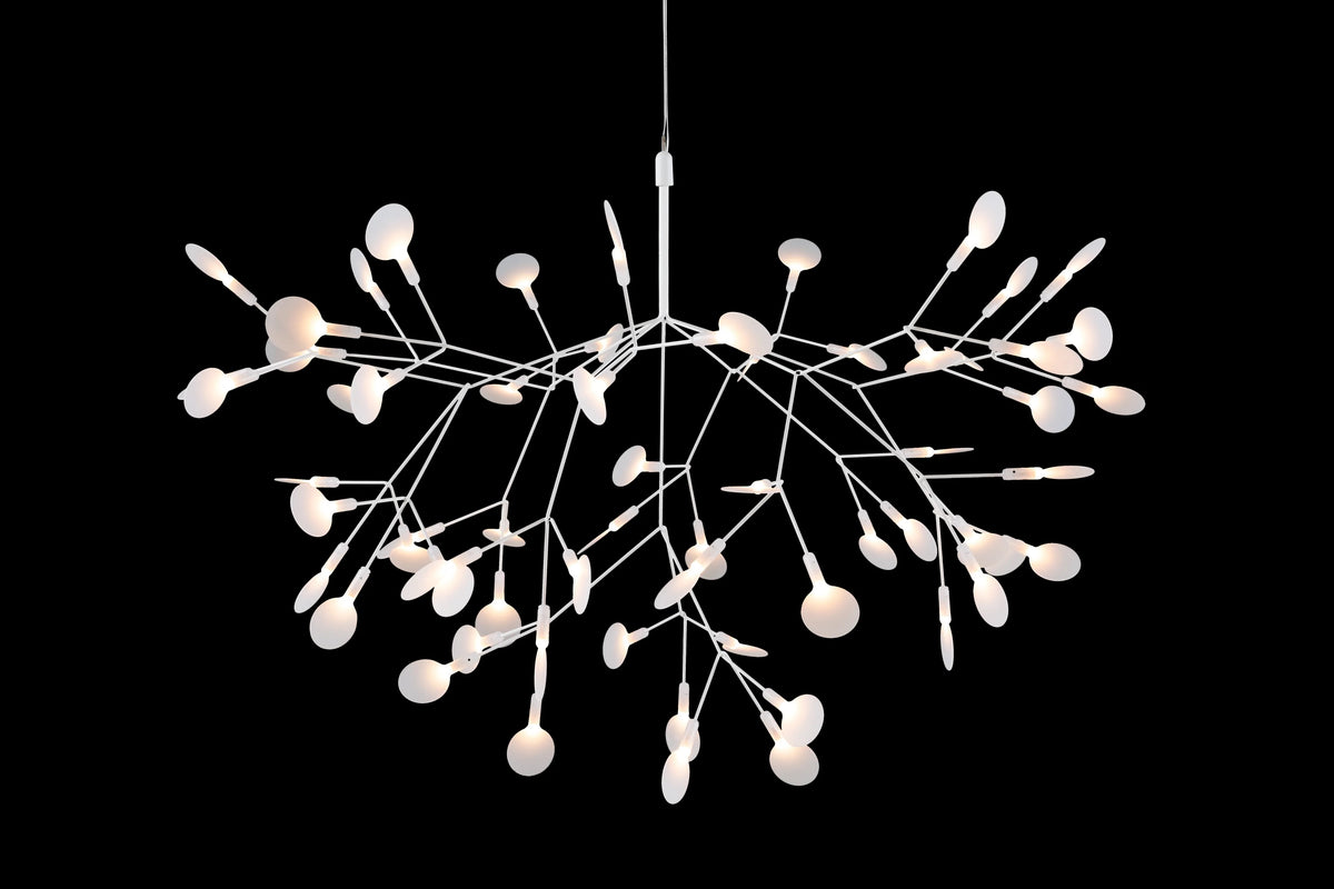 Heracleum Suspension Light