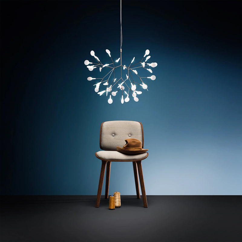 Nut Dining chair