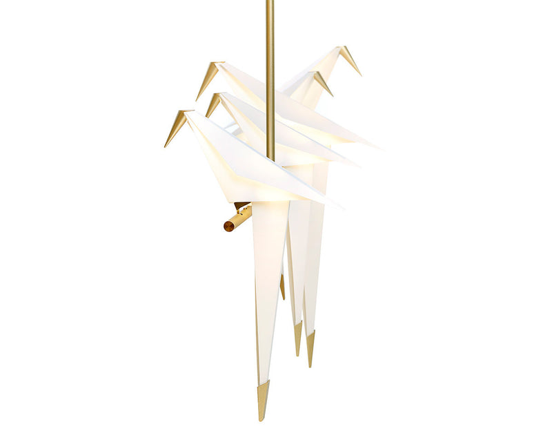 Perch Light Branch