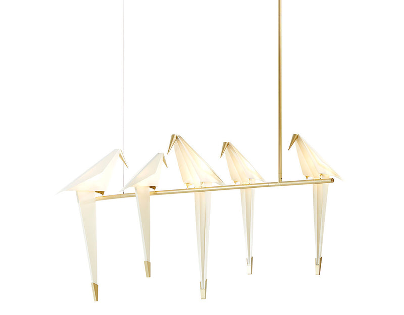 Perch Light Branch
