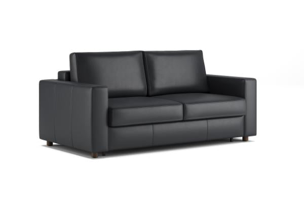 Neah Leather Sleeper Sofa