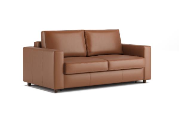 Neah Leather Sleeper Sofa