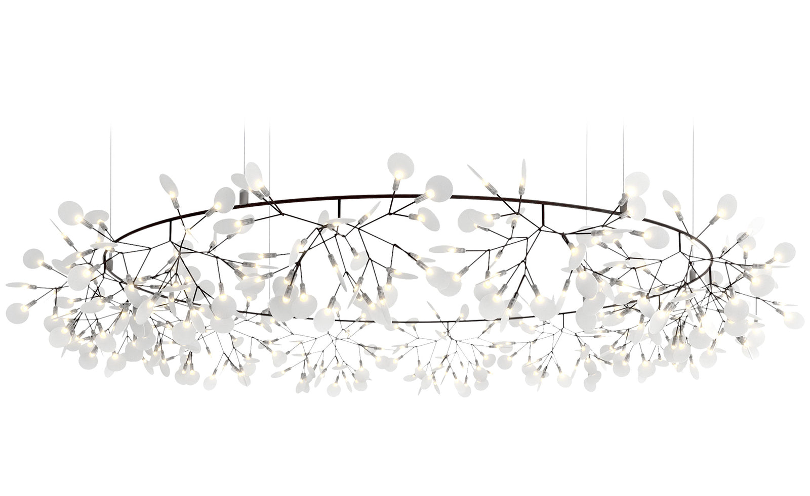 Heracleum III The Big O Suspension Lamp