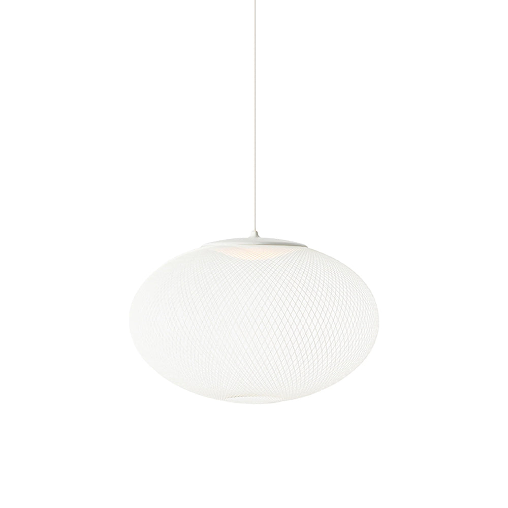 NR2 Suspension Light