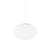 NR2 Suspension Light