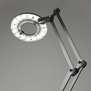 Link Medium Table Lamp Table Lamps Pablo 