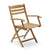 Selandia Folding Armchair Chairs Skagerak by Fritz Hansen None 