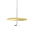 Sky Dome Pendant Pendant Lights Pablo 18" - Polished Aluminum + Brushed Brass 