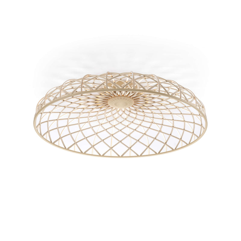 Skynest C