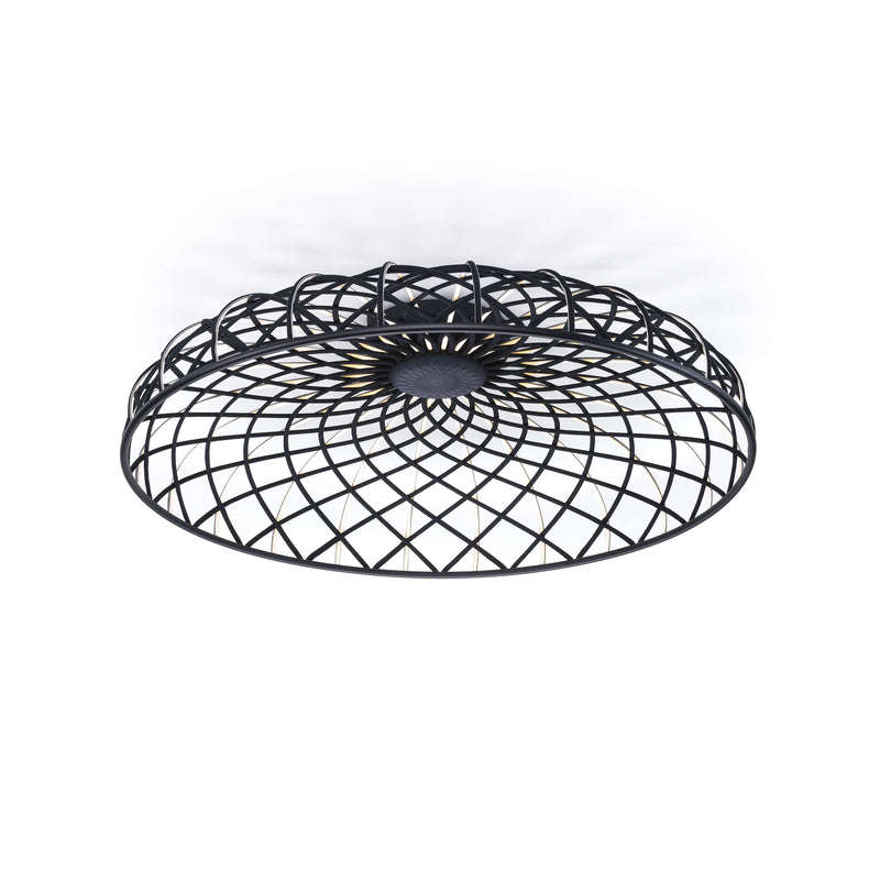 Skynest C
