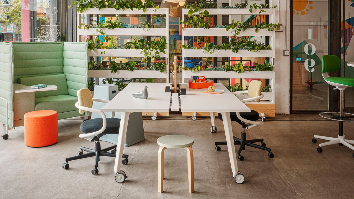 Allstar Office Chair Office Chair Vitra 