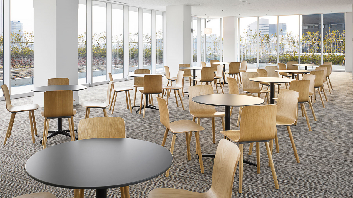 HAL Ply Wood Chair Side/Dining Vitra 