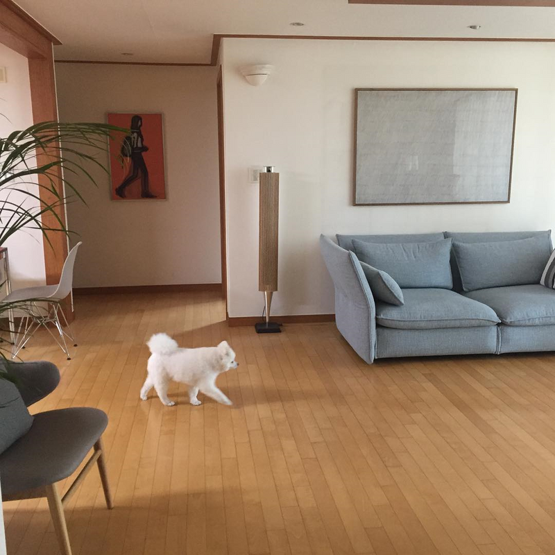 Mariposa 2 Seat Sofa Sofa Vitra 