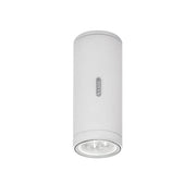 Calumet Outdoor Ceiling Light Outdoor Lighting Artemide 