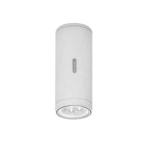 Calumet Outdoor Ceiling Light Outdoor Lighting Artemide 
