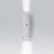 Calumet Outdoor Wall Light Outdoor Lighting Artemide 13 Double Wall 2x9° White 16W 3000K >80 CRI