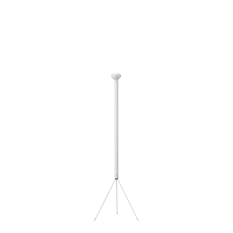 Luminator Floor Lamp Floor Lamps Flos White 