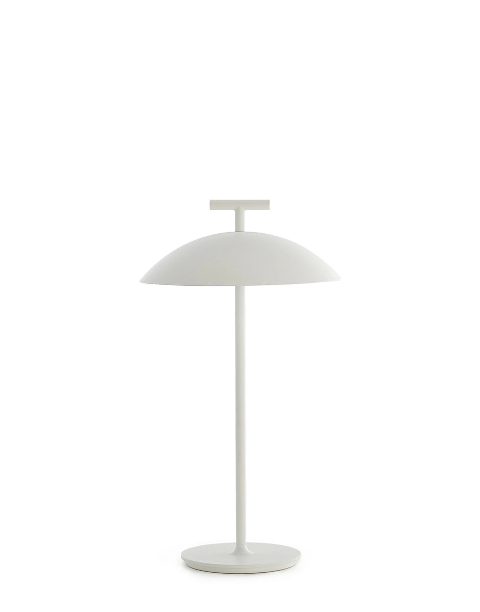 Geen-A Portable Table Lamp