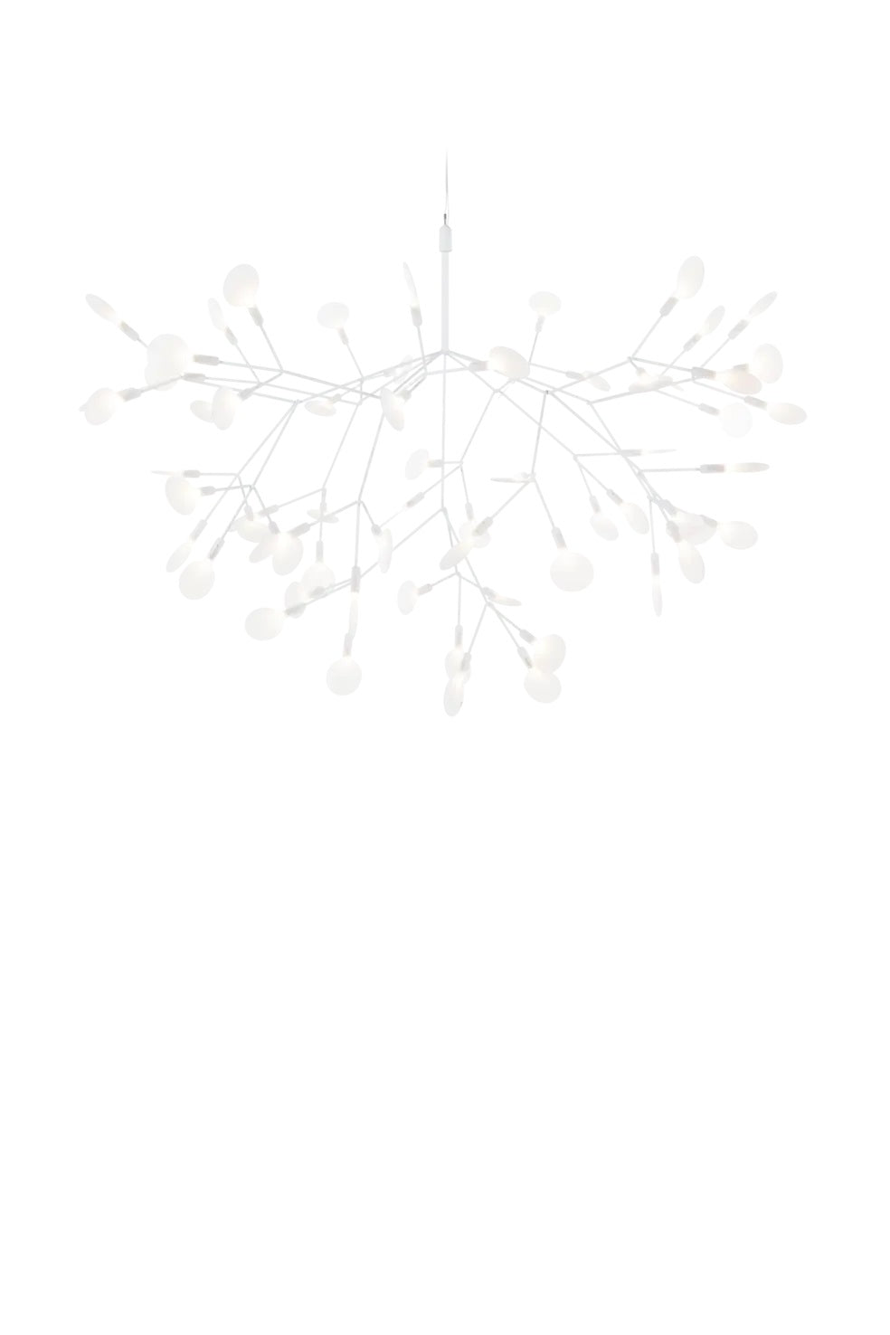 Heracleum Suspension Light