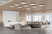 Sky Dome Flush Metal Ceiling/Wall Lamp wall / ceiling lamps Pablo 