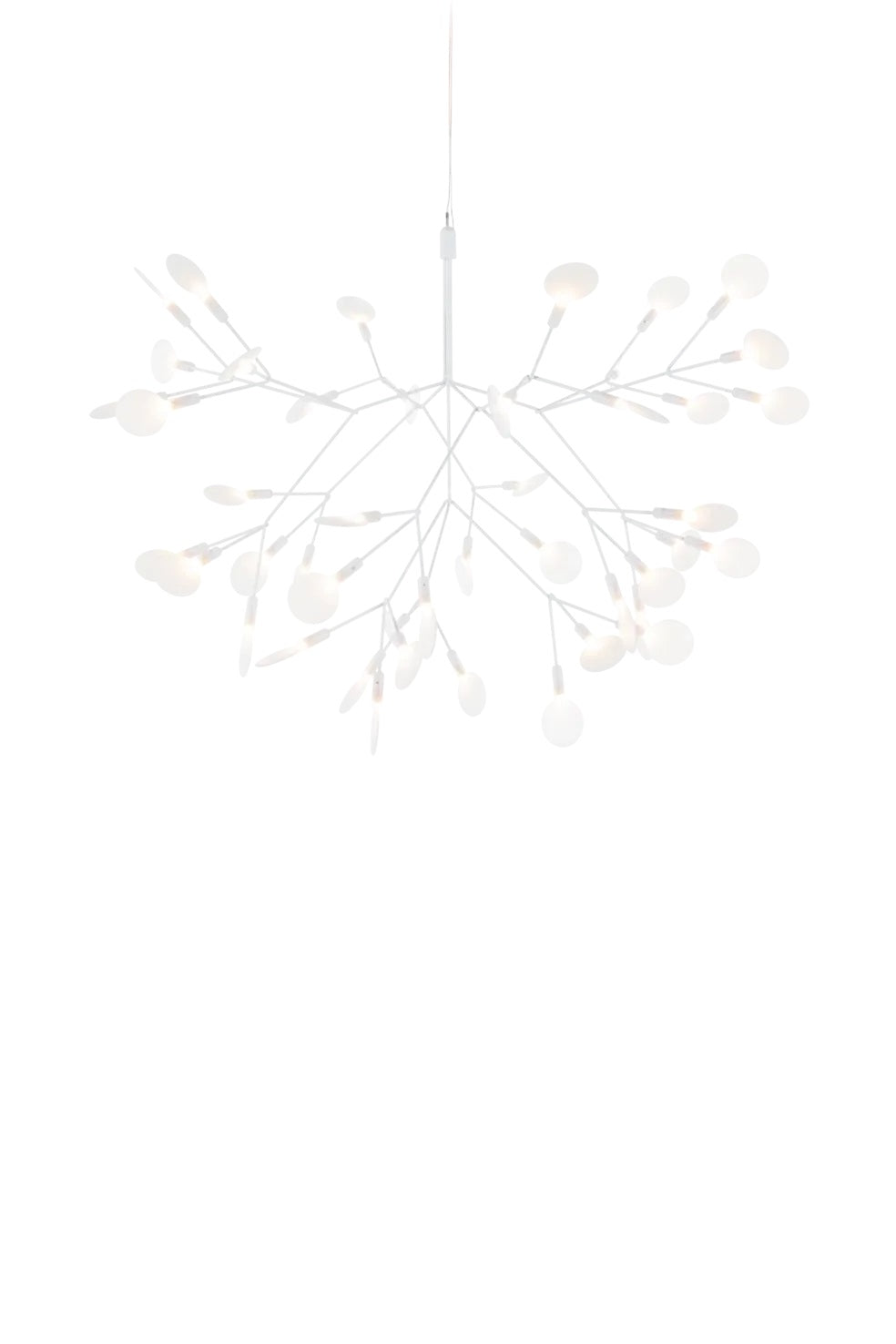 Heracleum Suspension Light