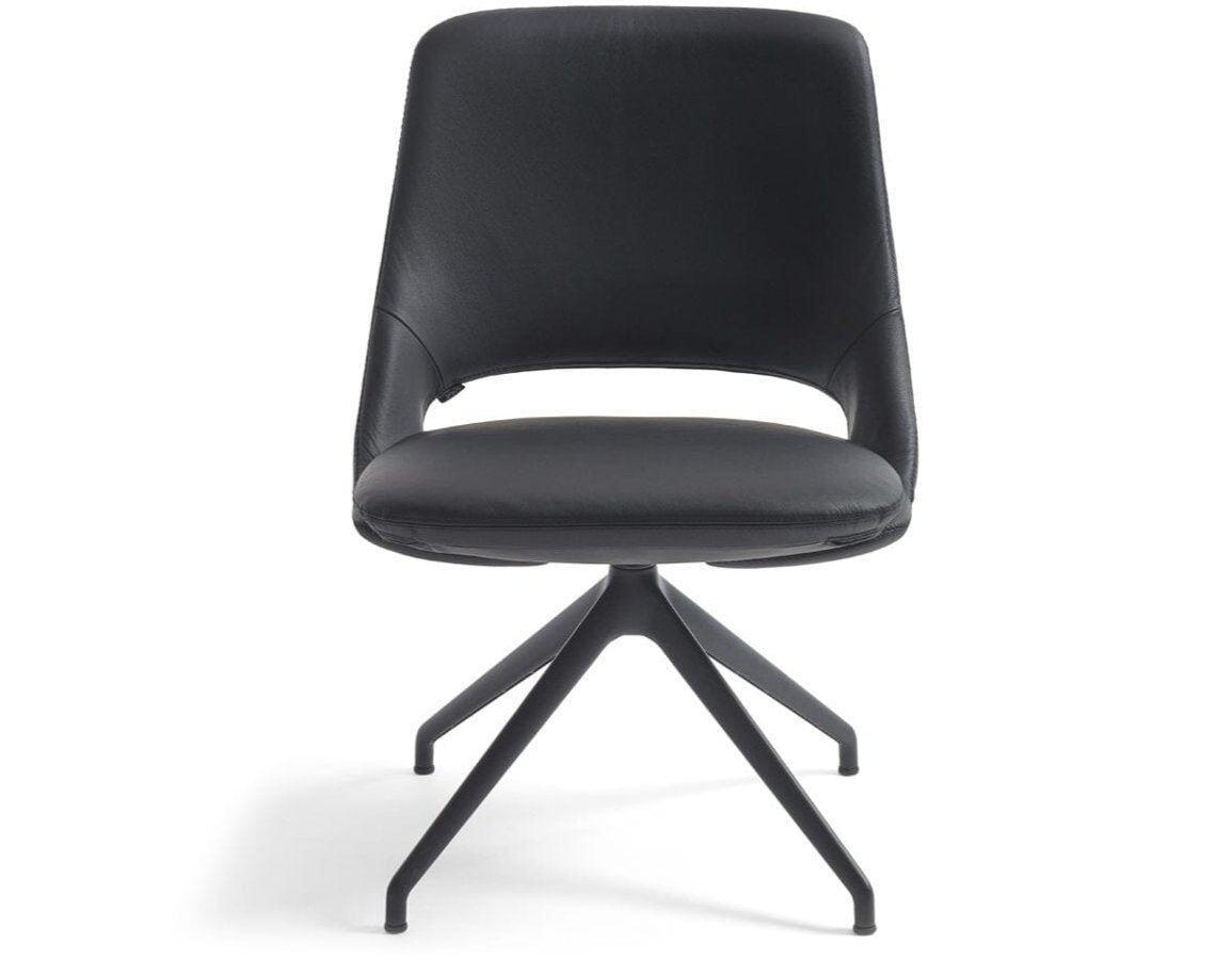 Zuma Low Back Chair Chairs Artifort 